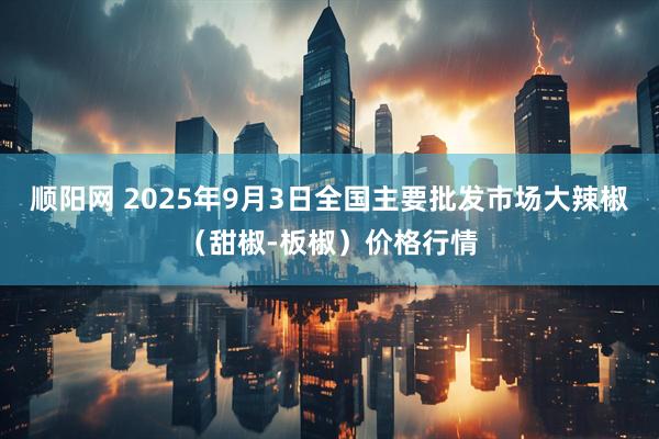 顺阳网 2025年9月3日全国主要批发市场大辣椒（甜椒-板椒）价格行情